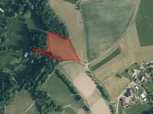 Prodej louky, Zlatá Olešnice, 6018 m2