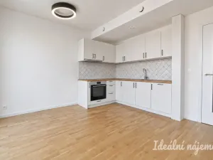 Pronájem bytu 2+kk, Brno, Příční, 36 m2