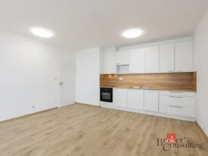 Pronájem bytu 2+kk, Plzeň - Jižní Předměstí, Železná, 60 m2