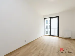 Pronájem bytu 2+kk, Plzeň - Jižní Předměstí, Železná, 60 m2