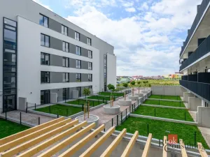 Pronájem bytu 2+kk, Plzeň - Jižní Předměstí, Železná, 60 m2