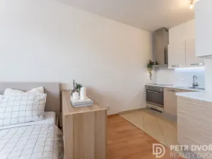 Prodej bytu 1+kk, Praha - Hloubětín, Nademlejnská, 38 m2