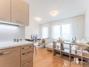 Prodej bytu 1+kk, Praha - Hloubětín, Nademlejnská, 38 m2