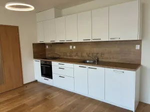 Pronájem bytu 2+kk, České Budějovice, Františka Jelena, 58 m2