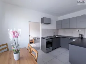 Prodej bytu 1+1, Teplické Předměstí, Sídliště Za Chlumem, 35 m2