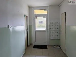Prodej bytu 1+1, Teplické Předměstí, Sídliště Za Chlumem, 35 m2