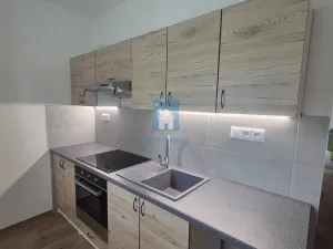 Pronájem bytu 2+1, Plzeň, Raisova, 56 m2