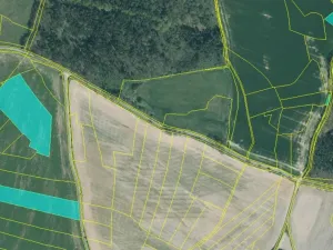 Prodej pole, Louňová, 53797 m2