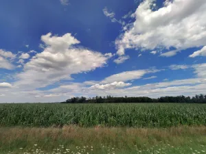 Prodej pole, Bystřice - Petrovice, 18096 m2