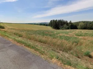 Prodej louky, Sázava - Bělokozly, 394 m2
