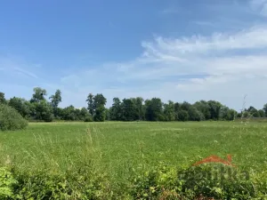 Prodej komerčního pozemku, Opava - Komárov, Ostravská, 11000 m2