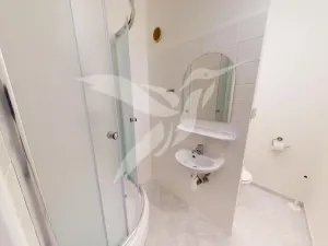 Pronájem bytu 1+kk, Plzeň, Hodonínská, 31 m2