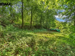 Prodej chalupy, Dolní Dobrouč - Horní Dobrouč, 151 m2