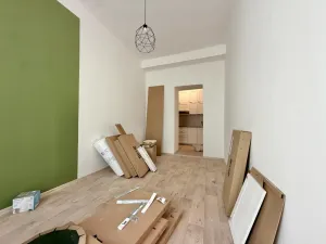 Pronájem bytu 1+kk, Praha - Nové Město, Kateřinská, 30 m2