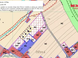 Prodej pozemku pro bydlení, Čermná nad Orlicí - Číčová, 866 m2
