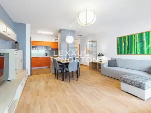 Pronájem bytu 3+kk, Praha - Libeň, Nad Okrouhlíkem, 102 m2