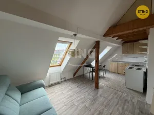 Pronájem bytu 1+kk, Opava, Englišova, 52 m2