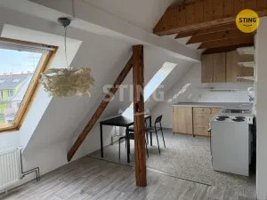 Pronájem bytu 1+kk, Opava, Englišova, 52 m2