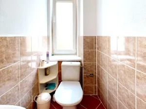 Pronájem atypického bytu, Brno - Královo Pole, Palackého třída, 23 m2