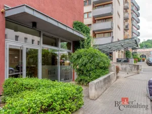 Pronájem bytu 2+kk, Praha - Vysočany, Paříkova, 60 m2