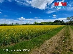Prodej pole, Pňov-Předhradí - Pňov, 142115 m2
