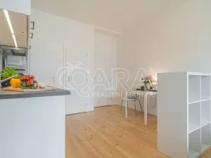 Pronájem bytu 1+kk, Praha - Holešovice, Jankovcova, 27 m2