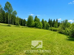 Prodej pole, Josefův Důl, 6990 m2