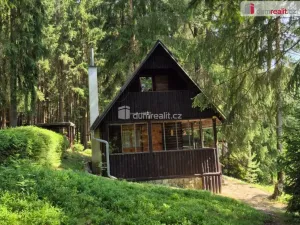 Prodej chaty, Kraslice - Mlýnská, 44 m2
