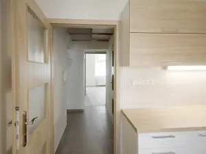 Pronájem bytu 1+1, České Budějovice - České Budějovice 7, Heydukova, 37 m2