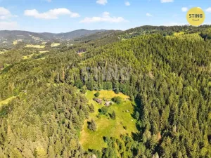 Prodej historického objektu, Hutisko-Solanec - Solanec pod Soláněm, 2989 m2