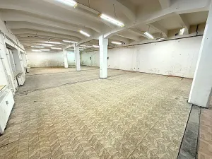 Pronájem skladu, Přerov, Čechova, 300 m2
