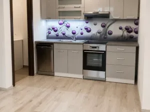 Pronájem bytu 2+kk, Zbůch, Vrbová, 45 m2