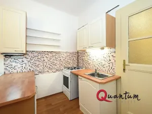 Pronájem bytu 1+1, Praha - Vinohrady, Fričova, 46 m2