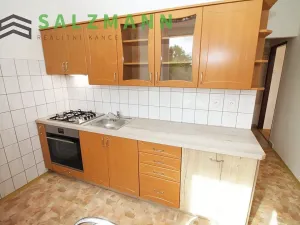Pronájem bytu 2+1, Plzeň, náměstí Generála Píky, 48 m2