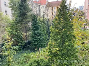 Pronájem bytu 1+kk, Praha - Vysočany, Freyova, 19 m2