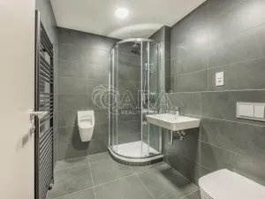 Prodej bytu 3+kk, Praha - Žižkov, Budovcova, 96 m2