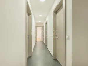 Prodej bytu 3+kk, Praha - Žižkov, Budovcova, 96 m2