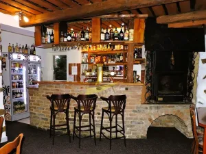 Prodej restaurace, České Budějovice - České Budějovice 7, Lidická tř., 265 m2