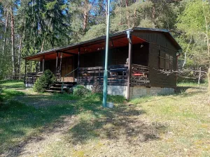Prodej lesa, Slabčice, 6225 m2