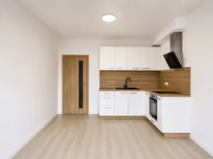 Pronájem bytu 1+kk, Olomouc, Edmunda Husserla, 29 m2
