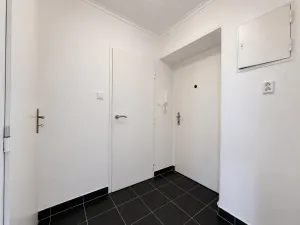 Prodej bytu 1+1, Lutín, Růžová, 28 m2