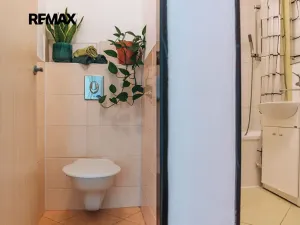 Prodej bytu 3+1, Bučovice, 82 m2