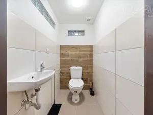 Prodej rodinného domu, Litenčice, 295 m2