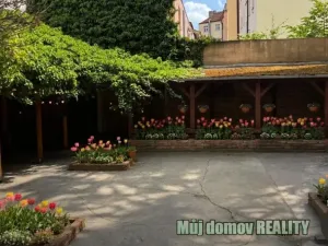 Pronájem ordinace, Praha - Žižkov, 130 m2