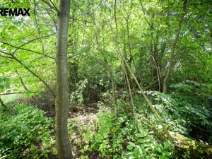 Prodej pozemku pro bydlení, Rožmitál pod Třemšínem, 876 m2