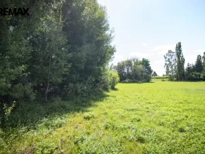 Prodej pozemku pro bydlení, Rožmitál pod Třemšínem, 876 m2
