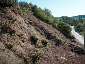 Prodej pozemku pro bydlení, Nový Knín, 759 m2