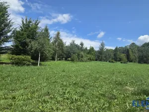 Prodej pozemku pro bydlení, Lipová-lázně, 5360 m2