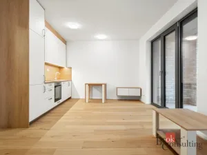 Pronájem bytu 1+kk, Brno - Zábrdovice, Bratislavská, 44 m2