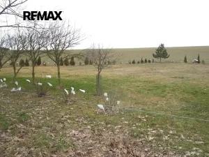 Prodej pozemku pro bydlení, Pavlíkov, 895 m2